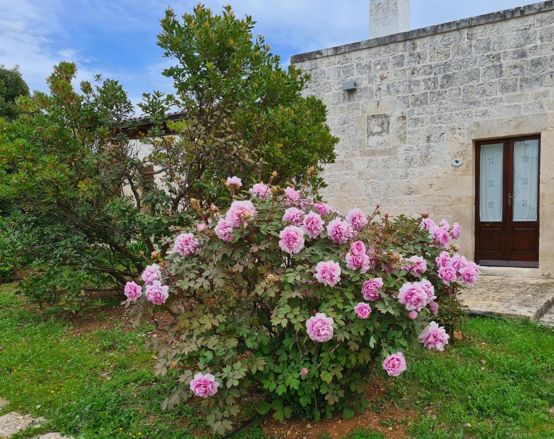 Masseria Montecchie Apartman Kellie Messapica Kültér fotó