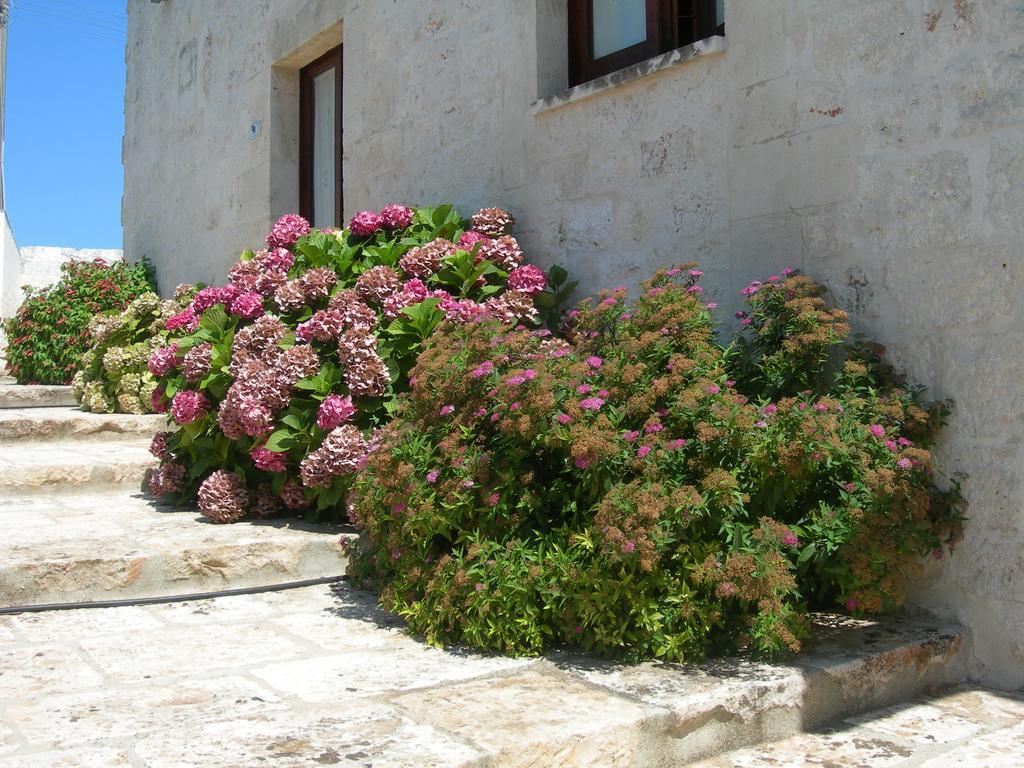 Masseria Montecchie Kellie Messapica Kültér fotó