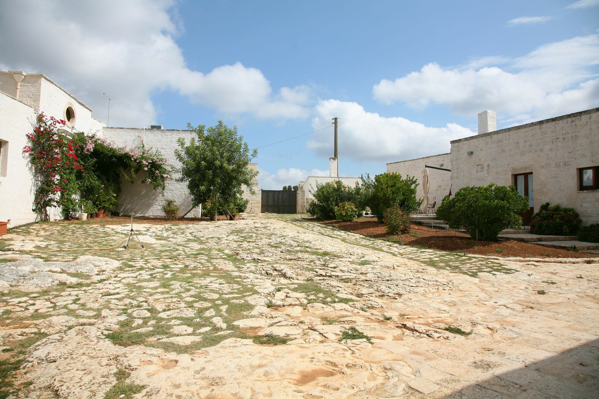 Masseria Montecchie Apartman Kellie Messapica Kültér fotó